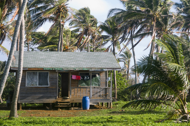 Cabana huis met palm bomen nicaragua - Foto, afbeelding