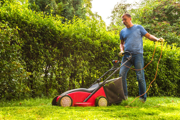 Summer and spring season sunny lawn mowing in the garden - Photo, Image