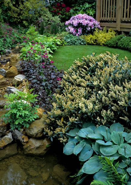 Streamside mixed border with plants and shrubs - Photo, Image