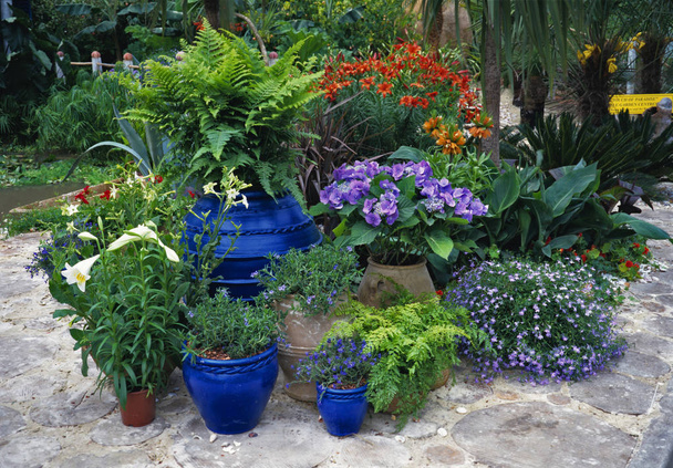 Colección de macetas plantadas en una terraza jardín
 - Foto, imagen