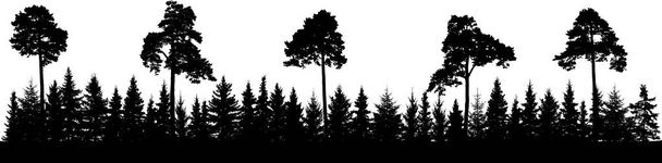 Fenyőfa és tűlevelű erdő silhouette, panoráma. Vektoros illusztráció - Vektor, kép