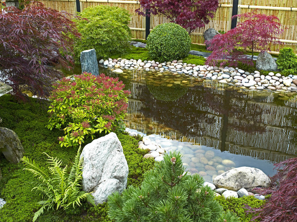 日本の伝統的な水植物、低木、岩、エイサーやカエデの木のある庭園 - 写真・画像
