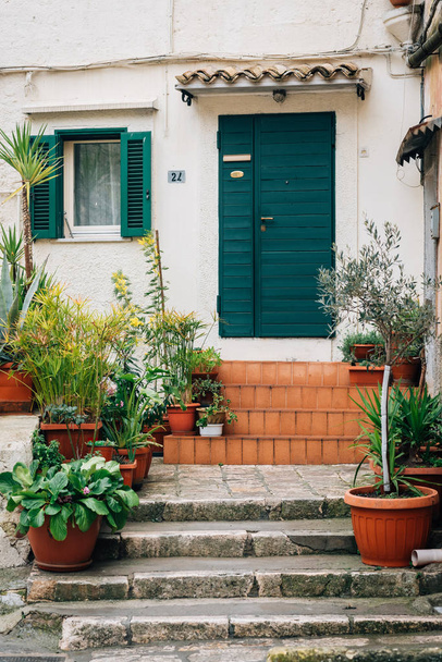 Plants and a house along Via Bruno Buozzi, in Matera, Basilicata, Italy. - Φωτογραφία, εικόνα