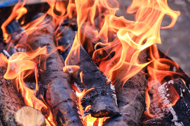 Bright hot coals and burning woods in bbq grill pit. Glowing and flaming charcoal, barbecue, red fire and ash. Weekend recreation background. Close-up, top view. - Фото, зображення
