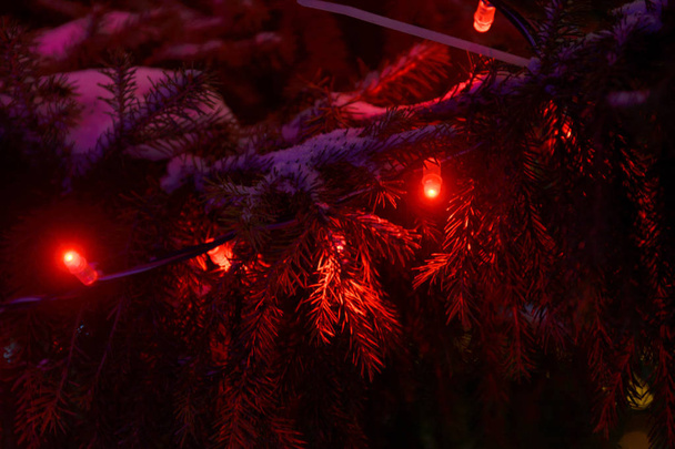 На темном фоне разноцветные рождественские огни
 - Фото, изображение