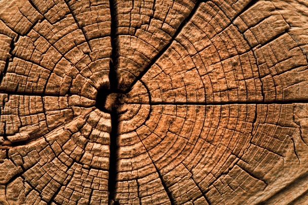 The brown old wood texture with knot. - Valokuva, kuva