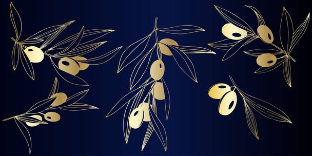 Vector Rama de olivo dorado. Follaje botánico vegetal. Arte de tinta grabada dorada. Elemento ilustrativo olivo aislado
. - Vector, imagen