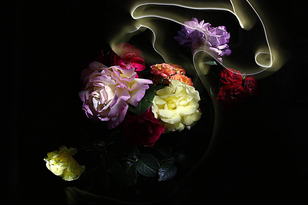 Magic többszínű bouquet, Rózsa - Fotó, kép