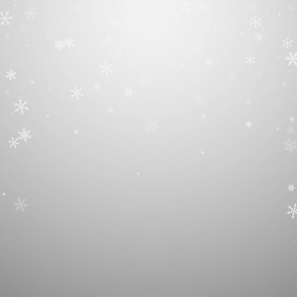 Спаржа снігопад Різдвяний фон. Тонкий мухолов
 - Вектор, зображення