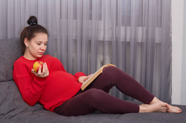Horizontal shot of concentrated woman with dark hair, has tummy, anticipates for child, sits barefoot at sofa, reads novel, eats fresh apple, needs vitmanins, poses near window in living room - Fotó, kép