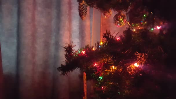 Weihnachtsbaum mit Ornamenten und Lichtern Seitenansicht - Filmmaterial, Video