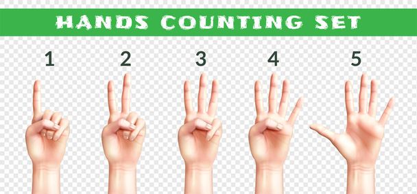 Läpinäkyvä joukko Counting kädet
  - Vektori, kuva