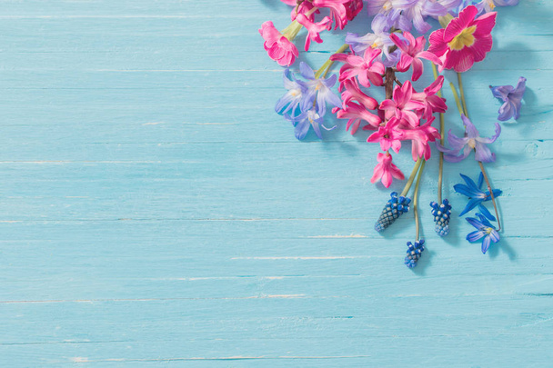spring flowers on old blue wooden background - Fotografie, Obrázek