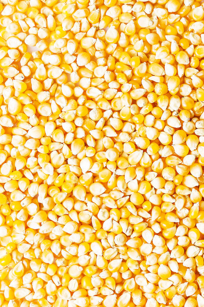 Background of fresh golden raw corn kernels - Zdjęcie, obraz