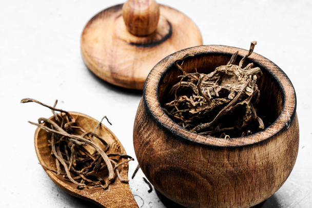Rizomas secos y raíces de valeriana medicinal. Hierbas medicinales
 - Foto, Imagen