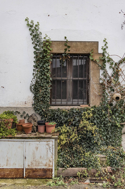 Yaşlı Saksı bitkiler üzerinde açık pencere eski bir çiftlik evi - Fotoğraf, Görsel
