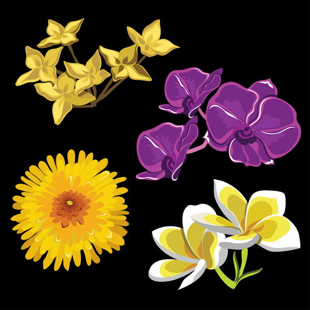 Set of realistic flowers, isolated on black background - Vector, Image