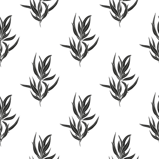Tarragon. Plant. Stem, leaves. Monophonic. Background, wallpaper, seamless, texture. Black silhouette. - Διάνυσμα, εικόνα