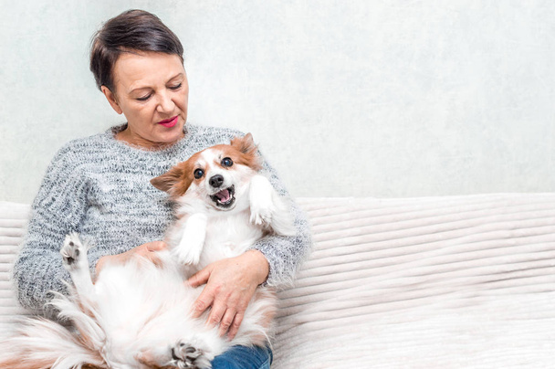 Portrait of senior woman play with her dog on sofa - Φωτογραφία, εικόνα