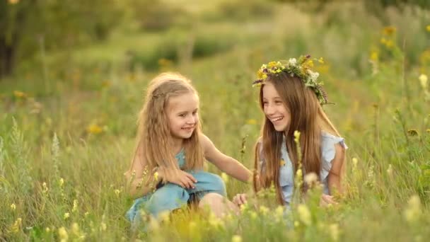 夏の牧草地の女の子 - 映像、動画