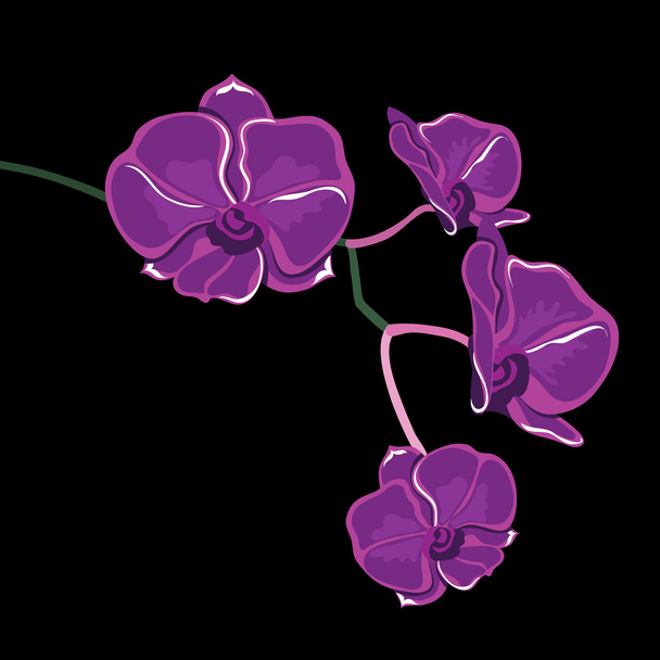 Floral pattern with orchids, hand-drawing. - Vector, Image