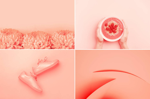 Kolaj yaşayan dört fotoğraf yapılmış Mercan rengi. - Fotoğraf, Görsel