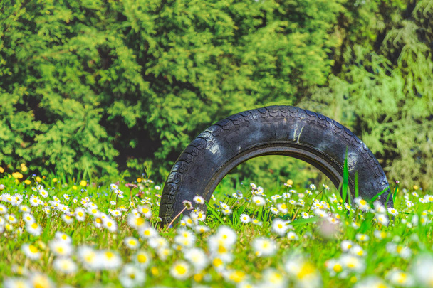 summer tire background tread worn nature - Photo, Image