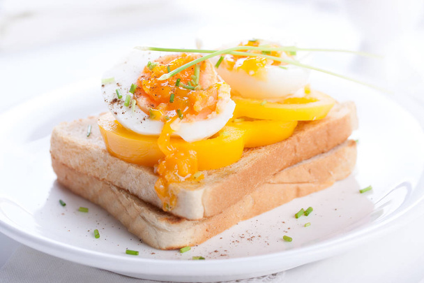 A fűszerek, a paprika és az újhagyma fehér háttere a pirított kenyér, főtt tojás - Fotó, kép