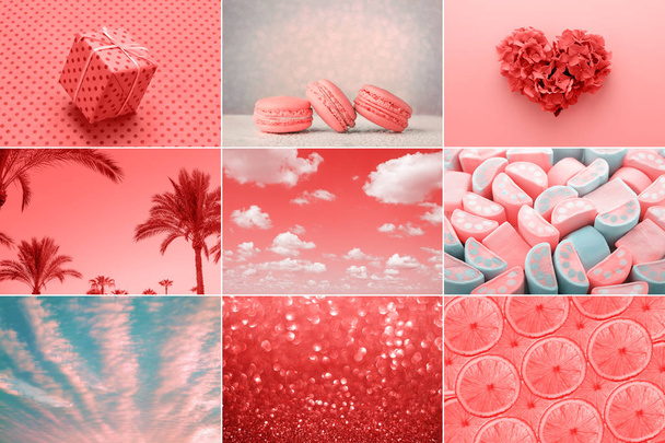 Μοντέρνο δημιουργικό κολάζ στο χρώμα των κοραλλιών που ζουν από το έτος 2019. Αγάπη καρδιά, γλυκό, δώρο διακοπών, μόδα. - Φωτογραφία, εικόνα
