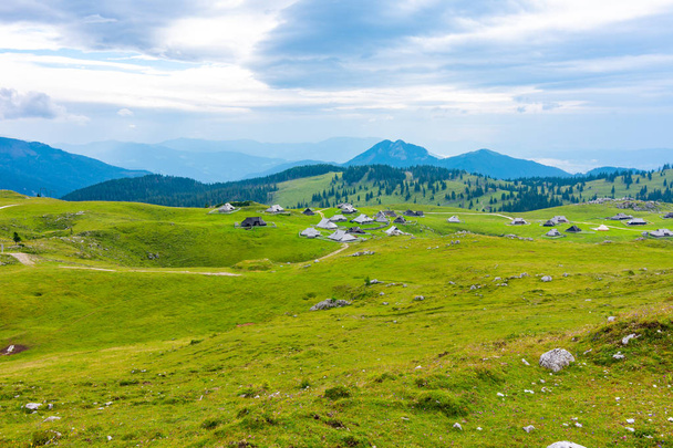 Slovenia velika planina (big plateau), agriculture pasture land near city Kamnik in Slovenian Alps. Wooden houses on green land used by herdsmen. Mountain village with big pasture plateau - Фото, изображение