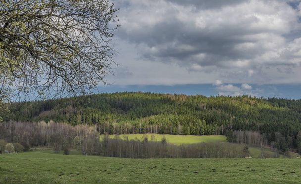Pastviny a louky nedaleko města Horní Slavkov v jarní hezký den - Fotografie, Obrázek