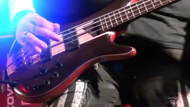 Gitarist op het podium tijdens een concert rockend publiek - Video