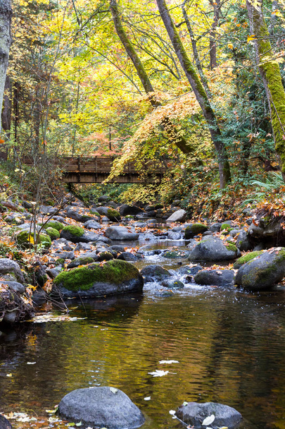 大きな岩と秋の色を変える葉から黄金の輝きと穏やかなクリーク - 写真・画像