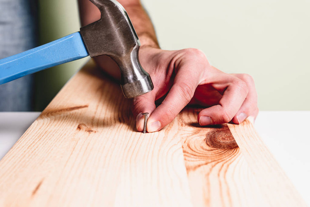Hammering a nail into wooden plate. Concept of renovation, housework. The man is holding a blue hammer in his hand, holding a nail in the other hand. Handyman, DIY. - 写真・画像
