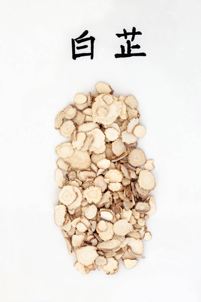 Angelica root herb used in traditional chinese herbal medicine with calligraphy script. Translation reads as angelica root. Is an anti inflammatory & anti asthmatic. Bai zhi. - Photo, Image
