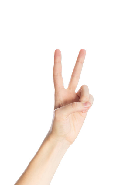 Victory gesture isolated on a white background - Foto, Imagem
