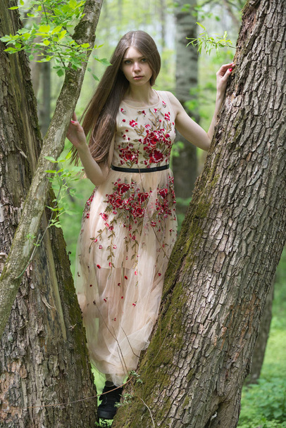 Yakınındaki bir ağaç uzun elbiseli kız - Fotoğraf, Görsel