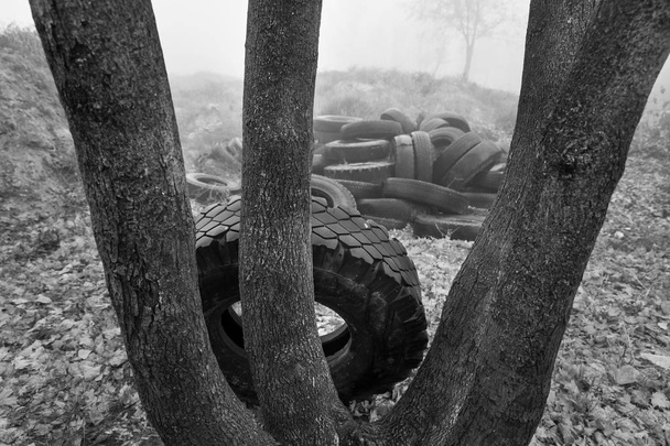 Экологическая концепция. Куча старых шин. Свалка старых подержанных шин в городе в туманный осенний день
 - Фото, изображение