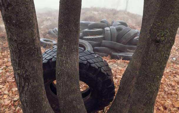 Ekolojik kavram. Eski lastikler yığın. Döküm eski şehirde bir sisli sonbahar gün kullanılmış lastikler - Fotoğraf, Görsel