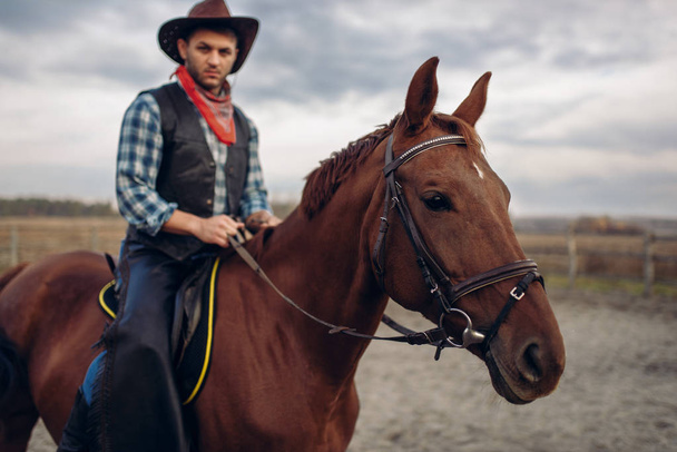 Cowboy chevauchant un cheval dans la vallée du désert, à l'ouest. Vintage homme à cheval, aventure ouest sauvage
 - Photo, image