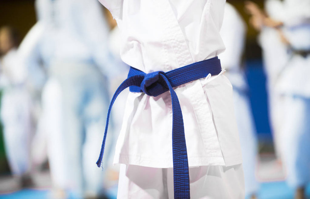 Japanese karate and sports concept - Photo, Image