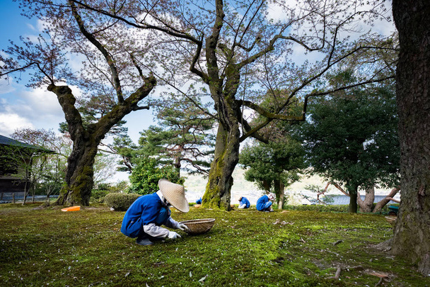Ogrodników, pracy w ogrodzie Kenrokuen jeden z najpiękniejszych ogrodów krajobraz, zlokalizuj w mieście Kanazawa, Japonia - Zdjęcie, obraz