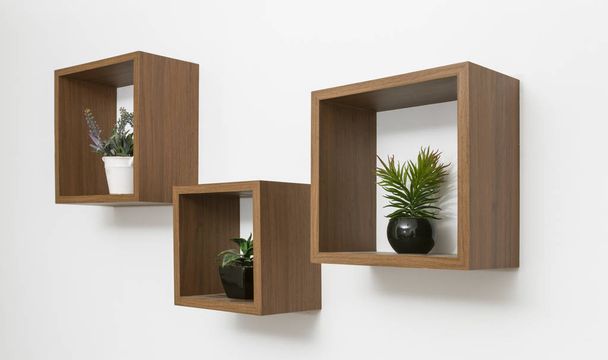 Side view of wooden shelves set on white wall with indoor plants pots - Photo, image