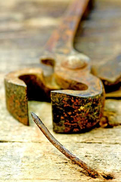 old rusty pliers with nail - Фото, изображение