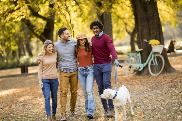 Jeunes gens multiraciaux marchant dans le parc avec chien
 - Photo, image