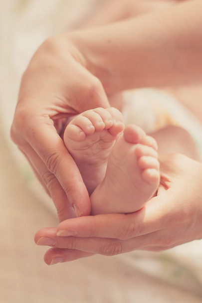 Los pies del bebé en las manos de la madre
 - Foto, Imagen
