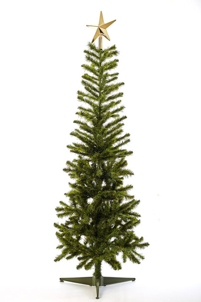Spruce treeon white background with for christmas day - Fotografie, Obrázek
