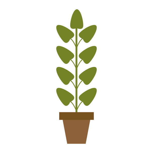 Plant pot isolated - Vector, Image