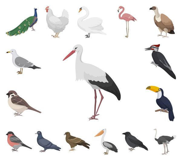 Arten von Vögeln Cartoon-Symbole in Set-Sammlung für das Design. Haus und Wildvogel Vektor Symbol Stock Web Illustration. - Vektor, Bild