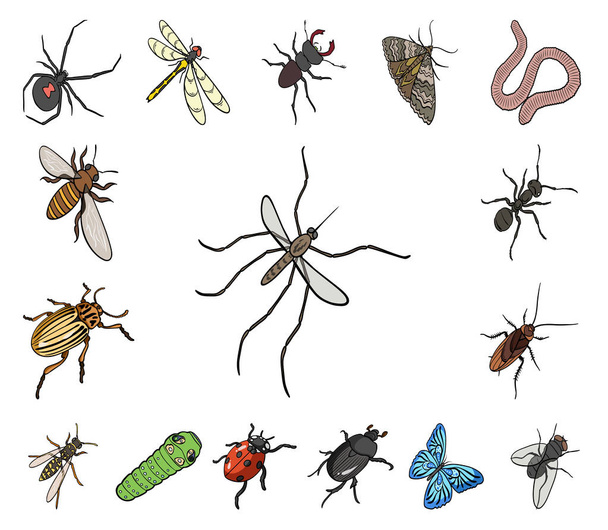 Different kinds of insects cartoon icons in set collection for design. Insect arthropod vector isometric symbol stock web illustration. - Vector, imagen
